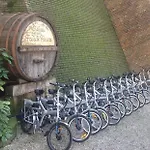 Hotel I Tigli Diffuso